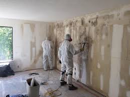 Best Asbestos and Lead Testing During Mold Inspection  in Prairie View, TX